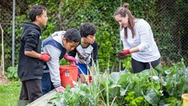 Fun in the Garden at Cannons Creek School