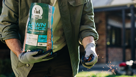 How to Sow a Lawn