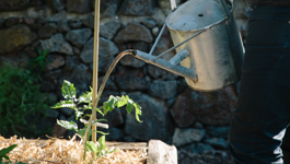 Water Saving Guide