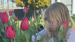 Petals and pocket money