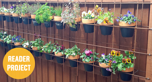 create a vertical garden