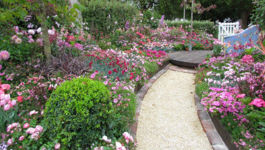 Charming Cottage Gardens