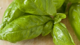 Bev's Basil Pesto