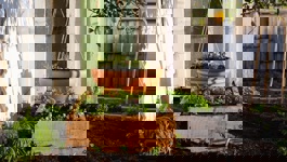 Cuisine Gardening Guide
