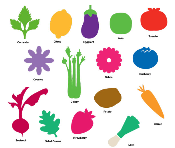 October Gardening Guide Find Out What Else To Plant In Your Region With Our Planting Calendar Here