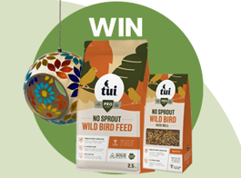 Win a wild bird pack
