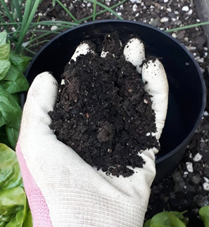 5. Add compost.