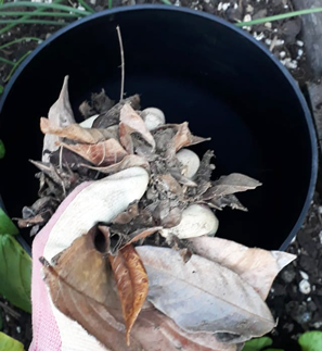 3. Add leaf matter.