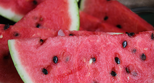 Watermelon Growing Guide 