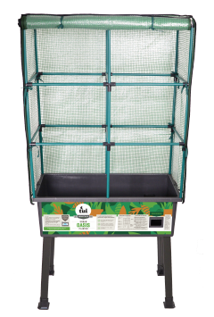 Tui Urban Oasis Planter 