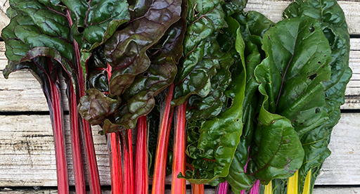 Silverbeet Growing Guide