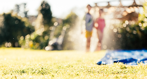 Get your lawn summer ready