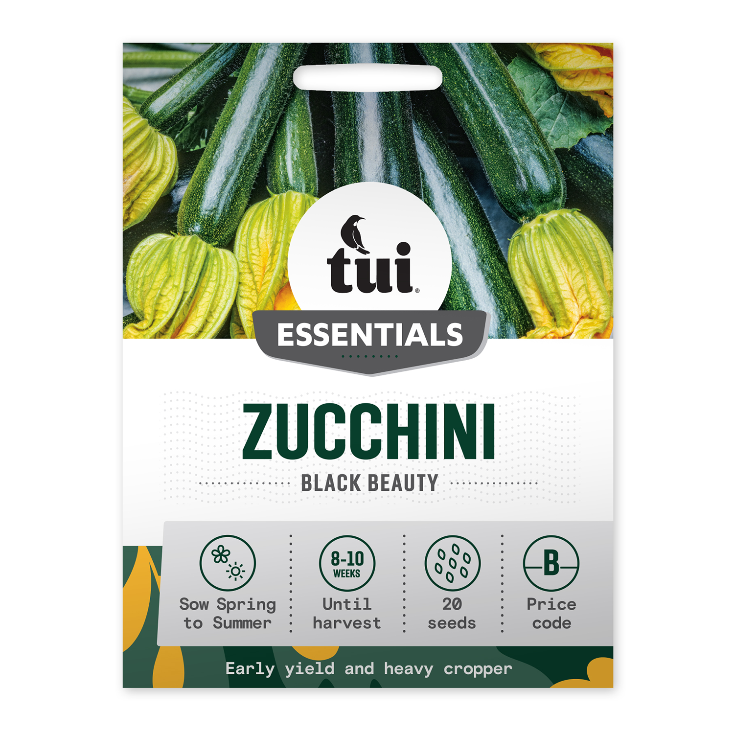 Zucchini - Black Beauty