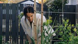 A seasonal guide to getting to know your garden