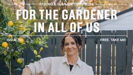 Tui Times Spring/Summer 2026