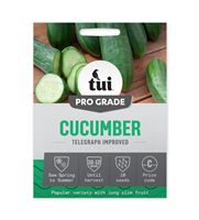 Tui Cucumber Seed - Telegraph Improved