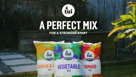 A Perfect Mix