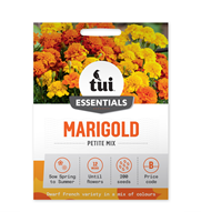 Tui Marigold Seed - Petite Mix