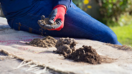 Simple at-home soil tests