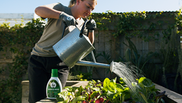 Feeding Your Garden Guide