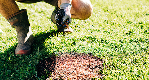 How to Patch a Lawn