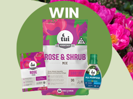 Win a rose planting pack