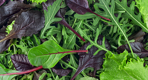 Mesclun Growing Guide