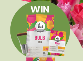 Win a bulb planting pack