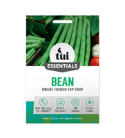 Tui Bean Seed - Dwarf French Top Crop