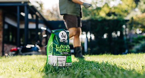 Seasonal guide to fertilising your lawn